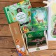 PREZENT na urodziny dla dziecka Z IMIENIEM Zestaw dla miłośnika przyrody z książką i grą karcianą