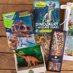 PREZENT na Święta dla chłopca Z IMIENIEM z książką i zestawem naukowym dla miłośnika dinozaurów
